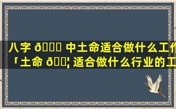 八字 💐 中土命适合做什么工作「土命 🐦 适合做什么行业的工作」